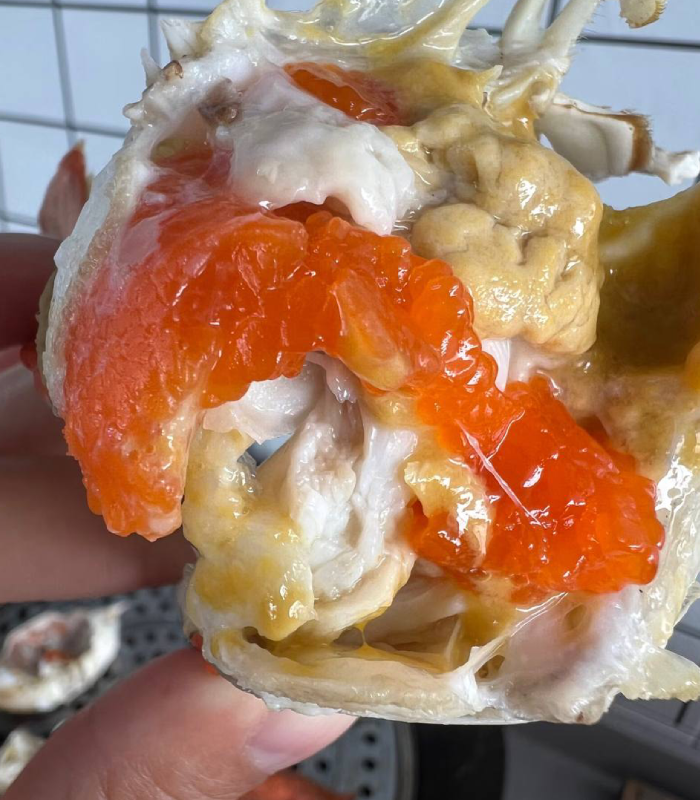 🦀 Premium Swimming Crabs: Bursting with Roe & Live to Your Door