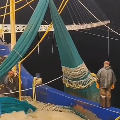 🦐 Colossal Deep-Sea Black Tiger Prawns